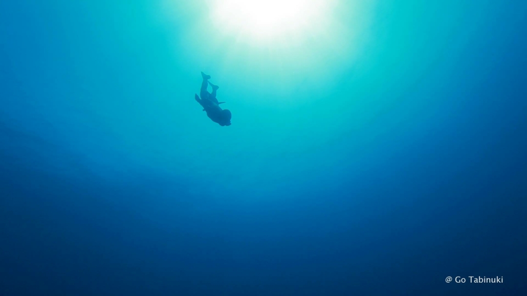 A solitary diver swims underwater, silhouetted against the bright sun shining through the ocean surface. The water is a gradient of deep blue, becoming lighter near the top. The diver is surrounded by the vast and serene underwater expanse. © Go Tabinuki appears in the bottom right corner.